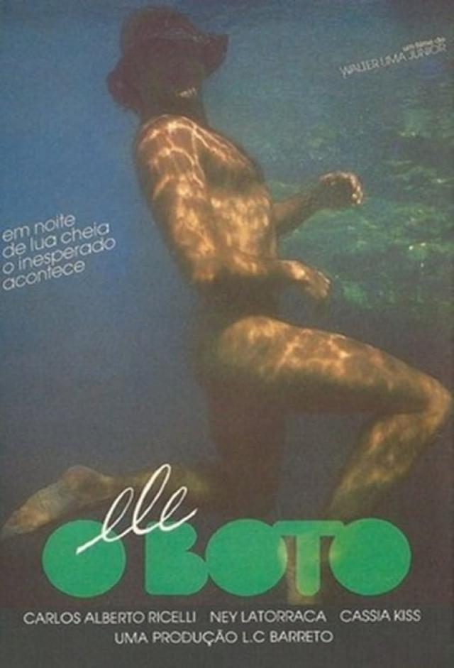 The Dolphin