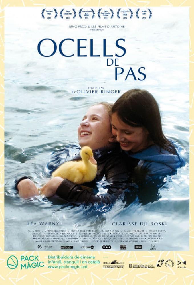 Les oiseaux de passage