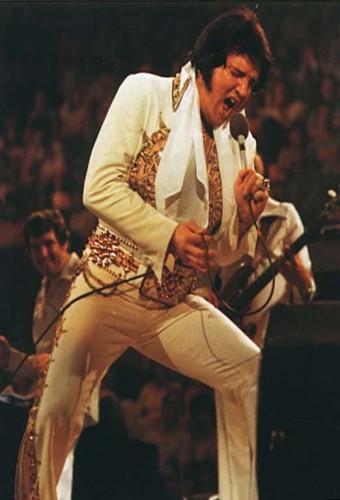 Elvis in Concert