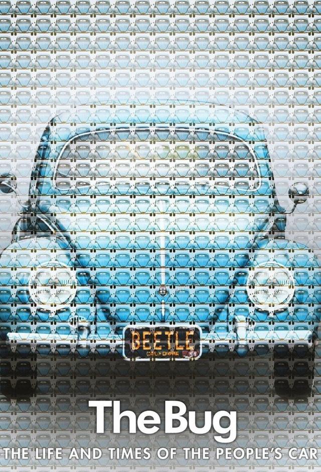 The Bug
