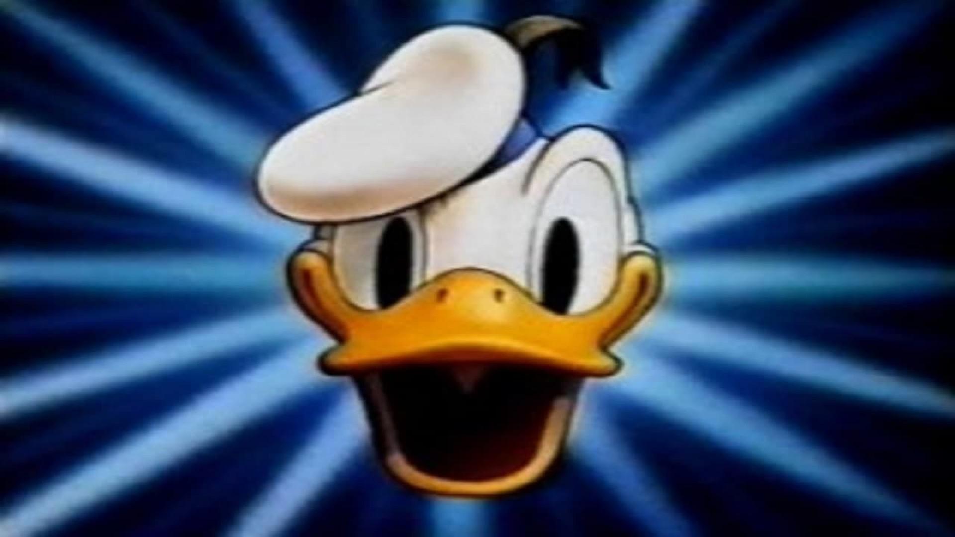 Donald Duck and his Companions