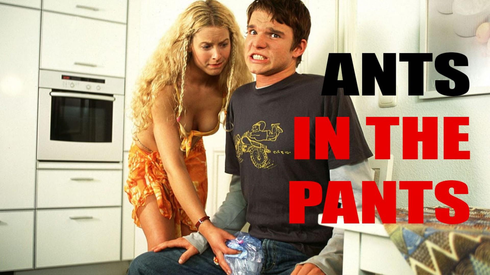 Ants in the Pants 2