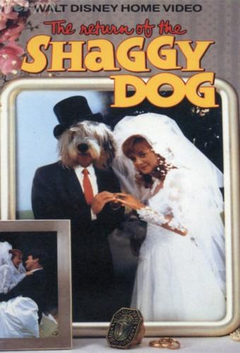 Return of the Shaggy Dog