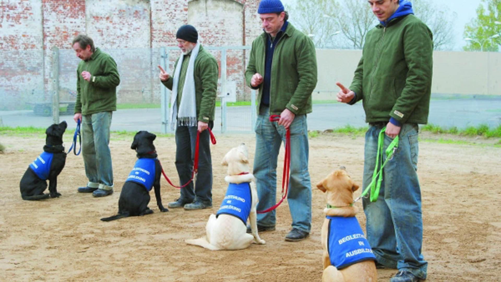 Underdogs
