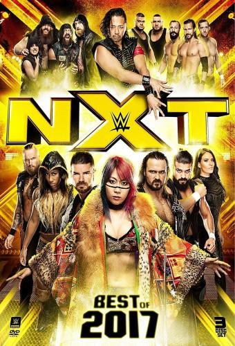 WWE NXT: Best of 2017