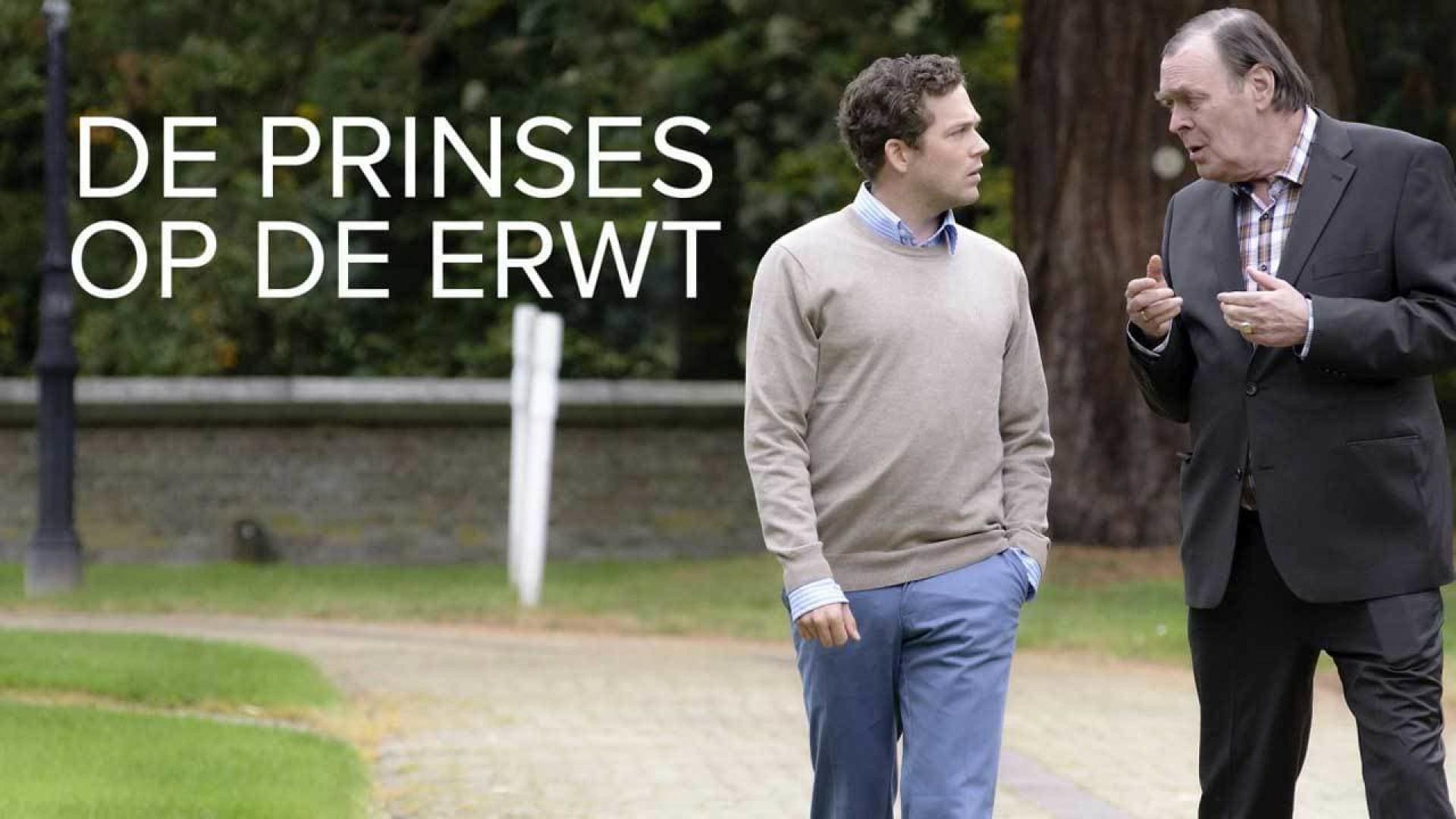 De Prinses Op De Erwt: Een Modern Sprookje