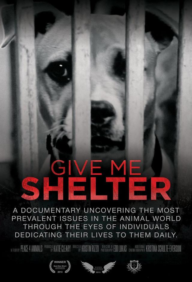Give Me Shelter