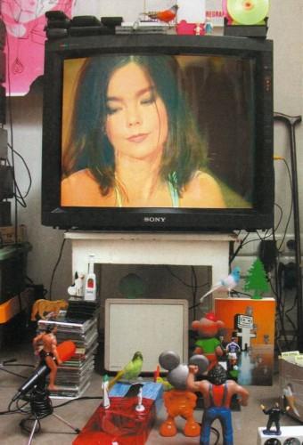 Björk: MTV Unplugged & MTV Live