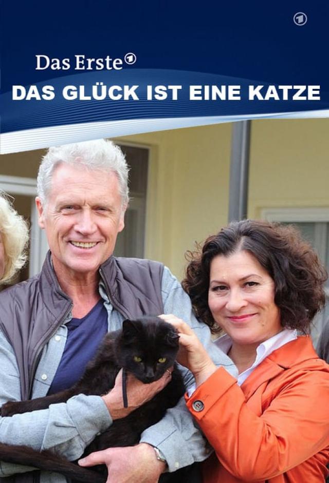 Das Glück ist eine Katze