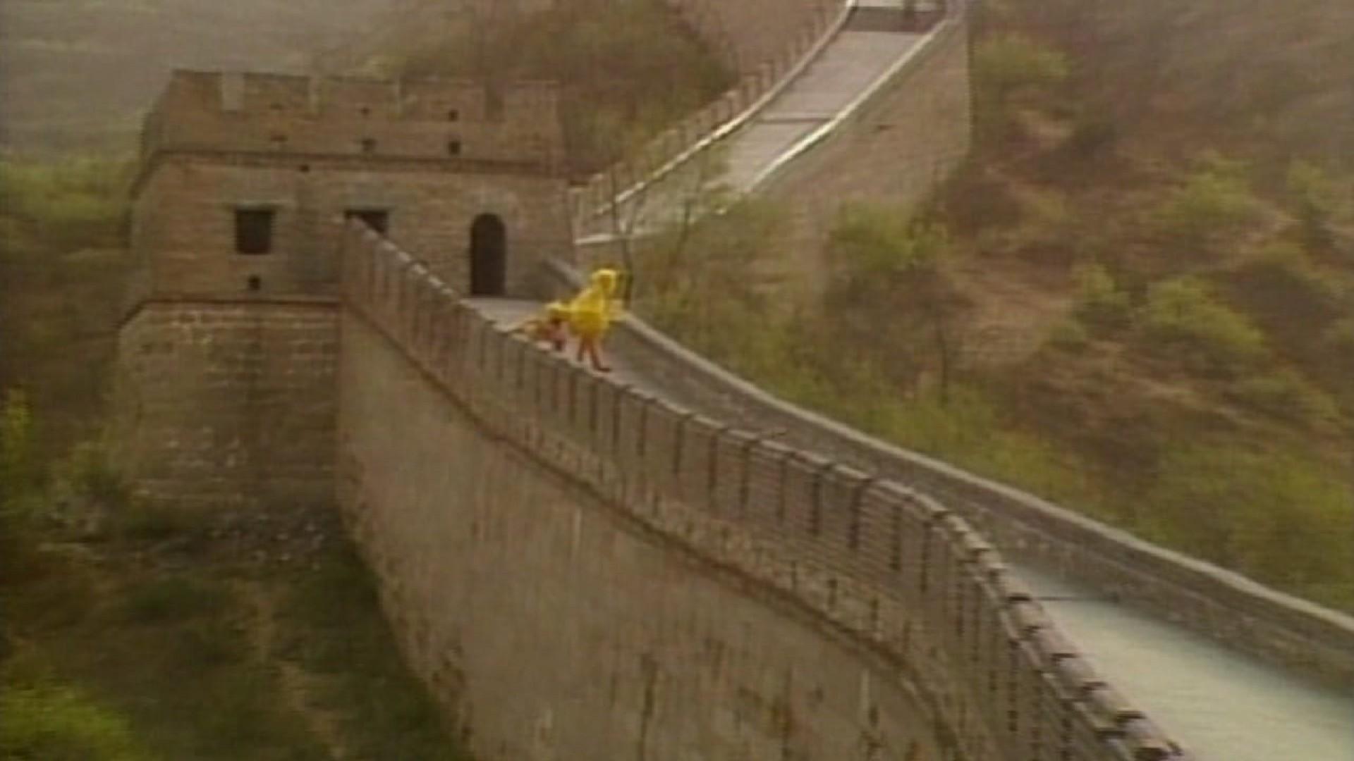 Big Bird in China