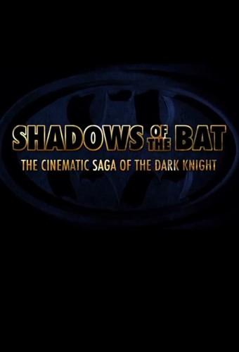 Shadows of the Bat: The Cinematic Saga of the Dark Knight