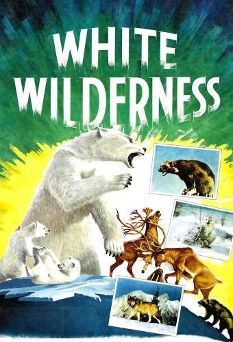 White Wilderness