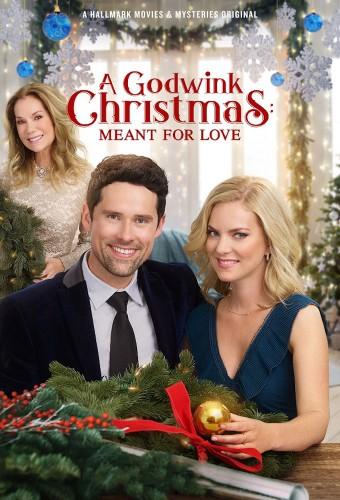 A Godwink Christmas: Meant for Love