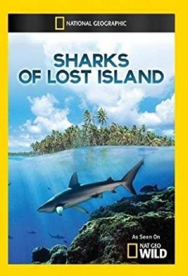 Sharks of Lost Island