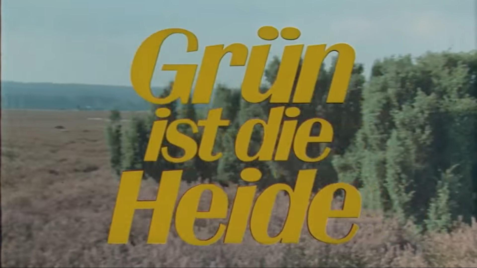 Grün ist die Heide