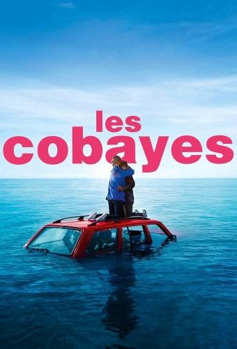 Les Cobayes