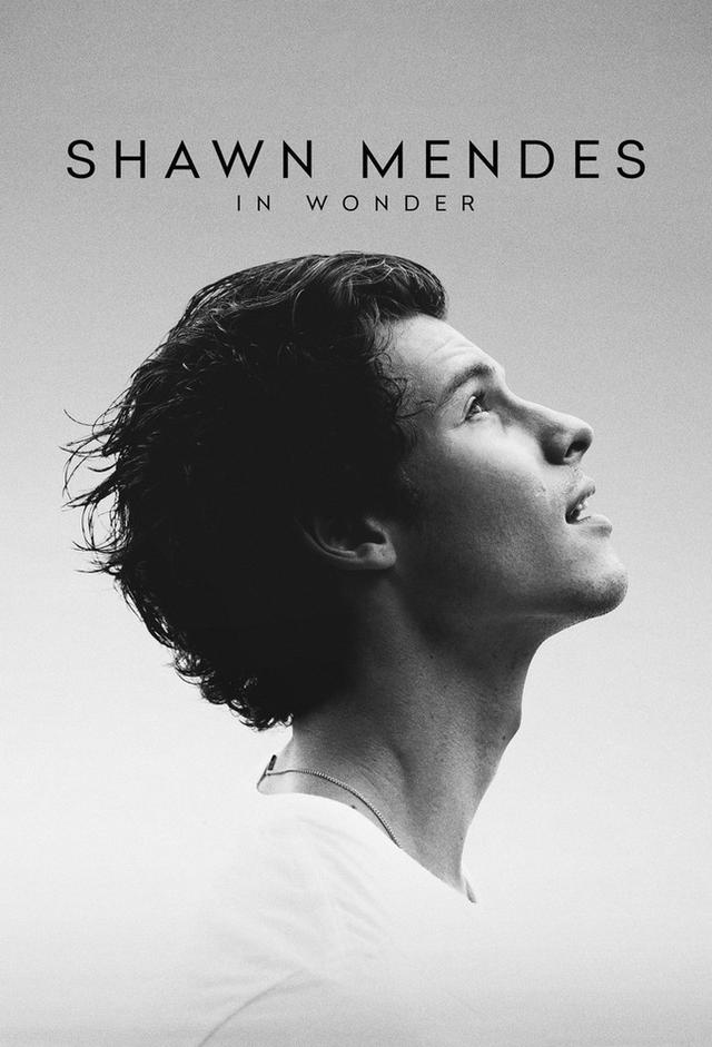 Shawn Mendes: In Wonder