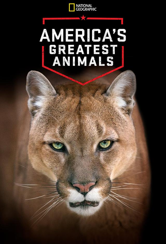 America's Greatest Animals