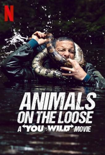 Animals on the Loose: A You vs. Wild Movie