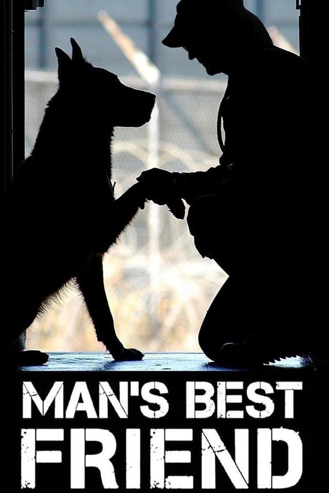 MBF: Man's Best Friend