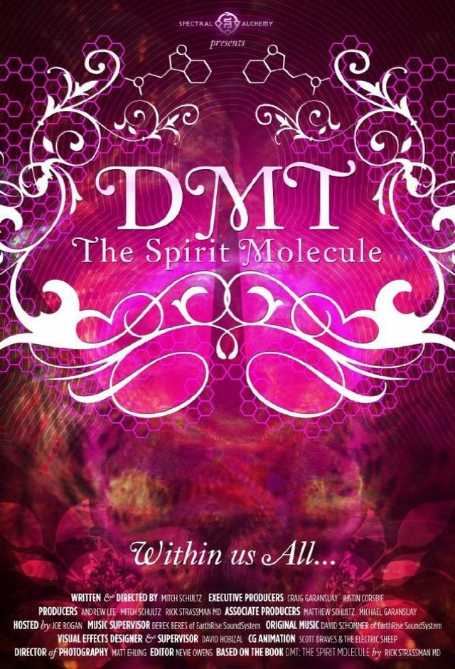 DMT: The Spirit Molecule