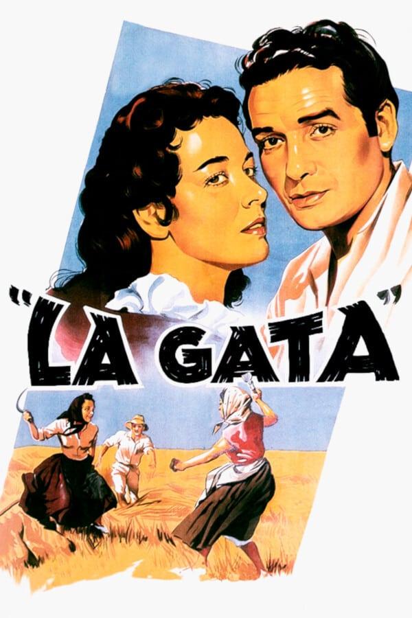 The Vaquero and the Girl
