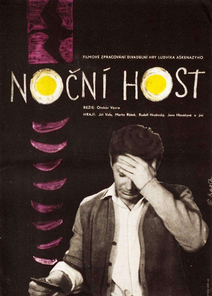 Night Guest