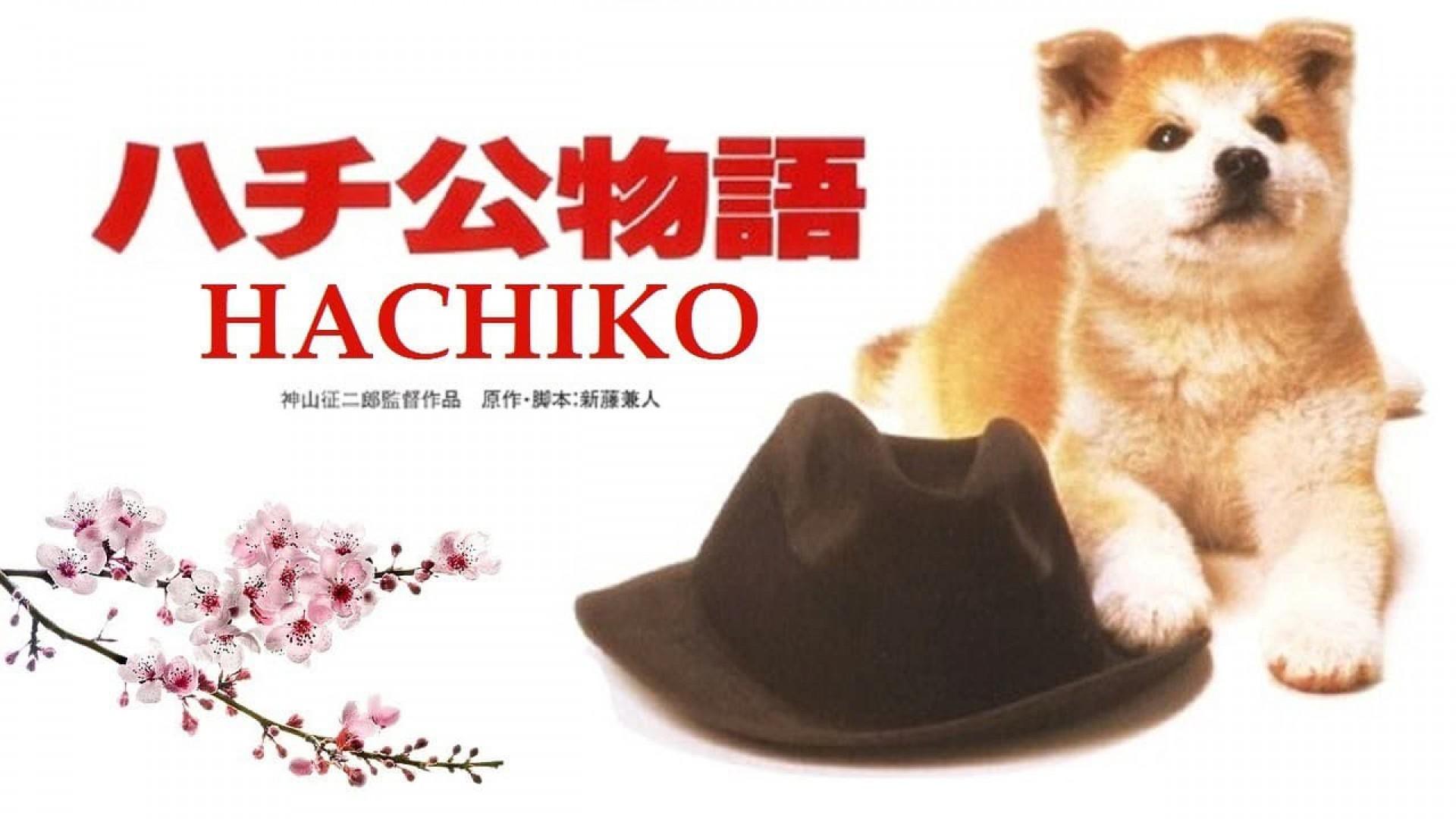 Hachi-ko