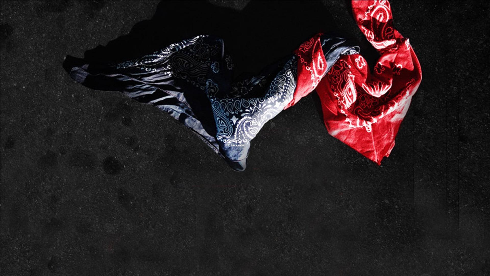 Crips and Bloods: Made in America