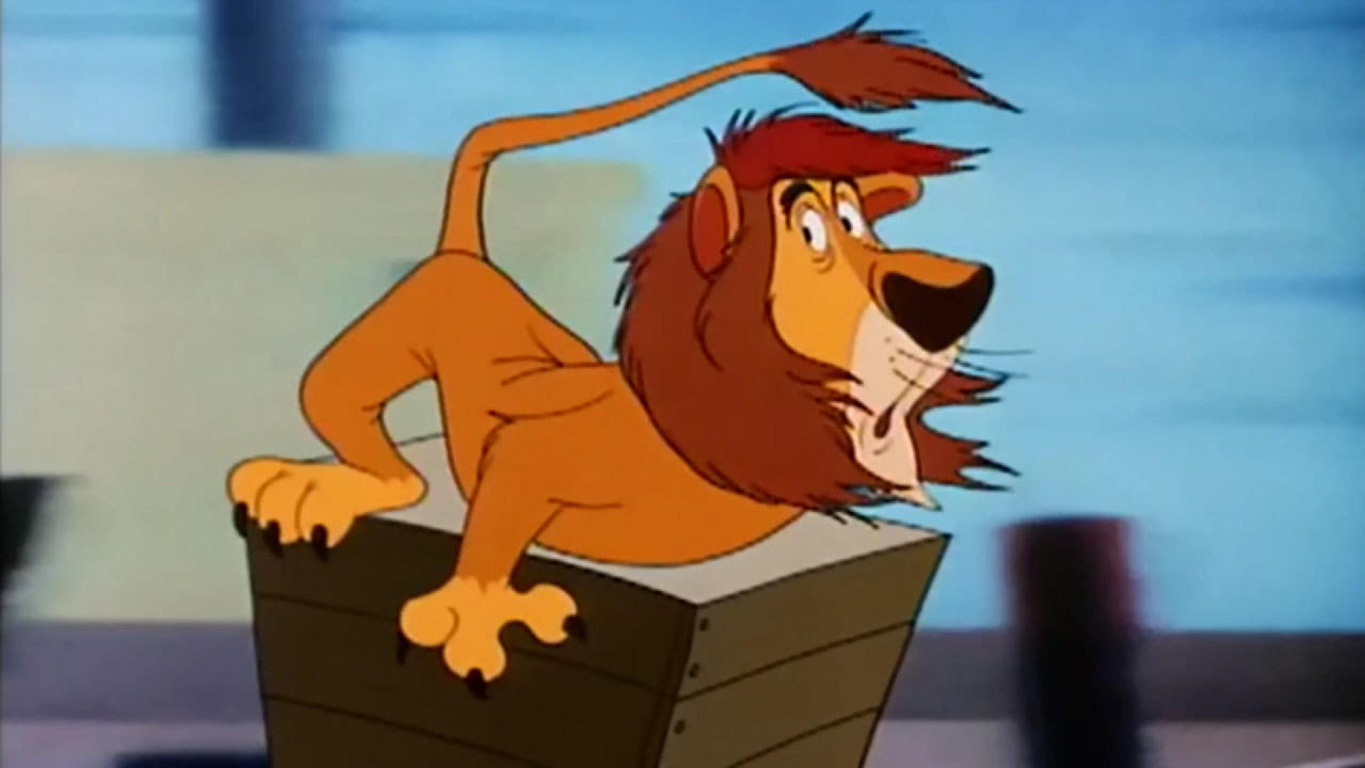Social Lion
