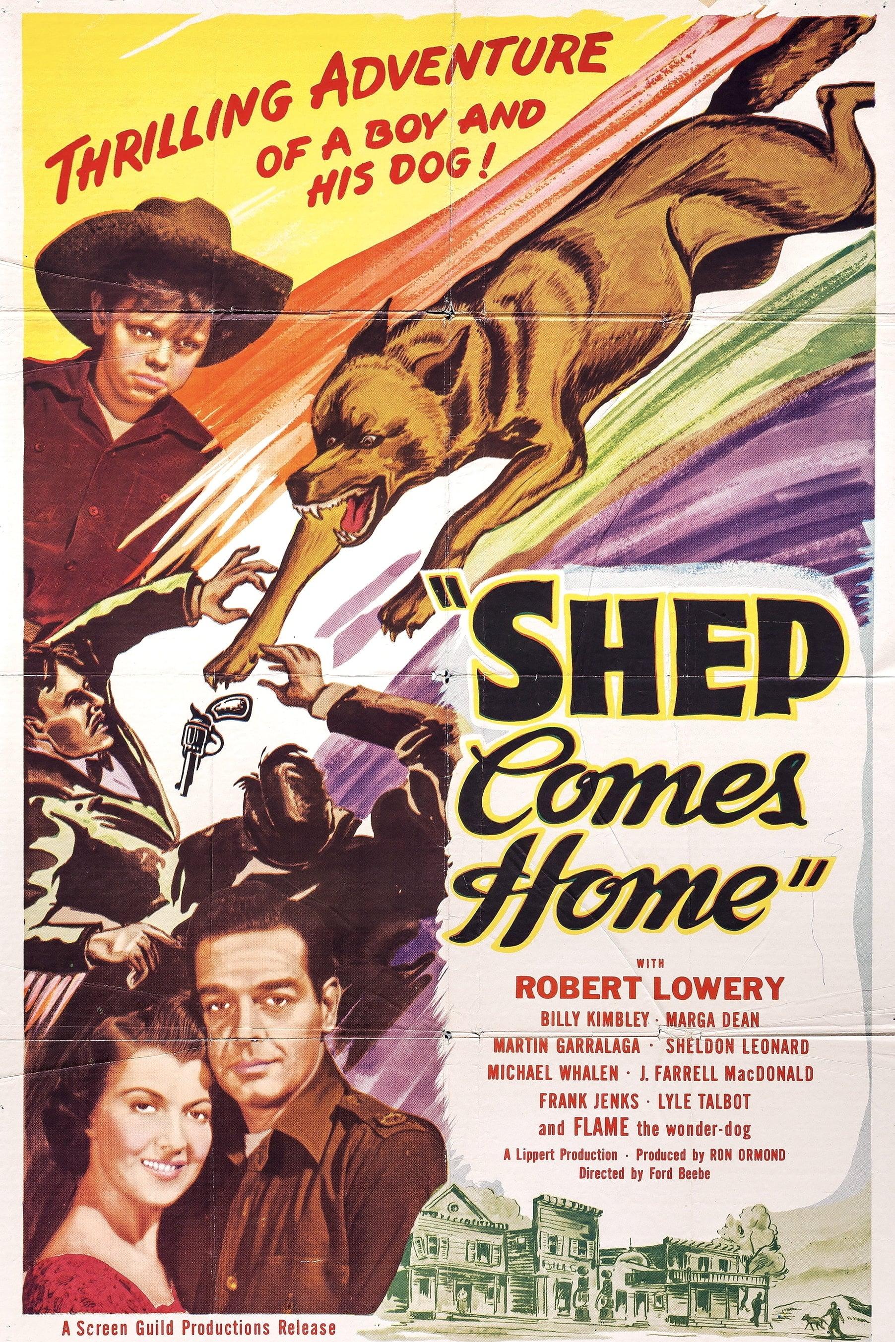Shep Comes Home