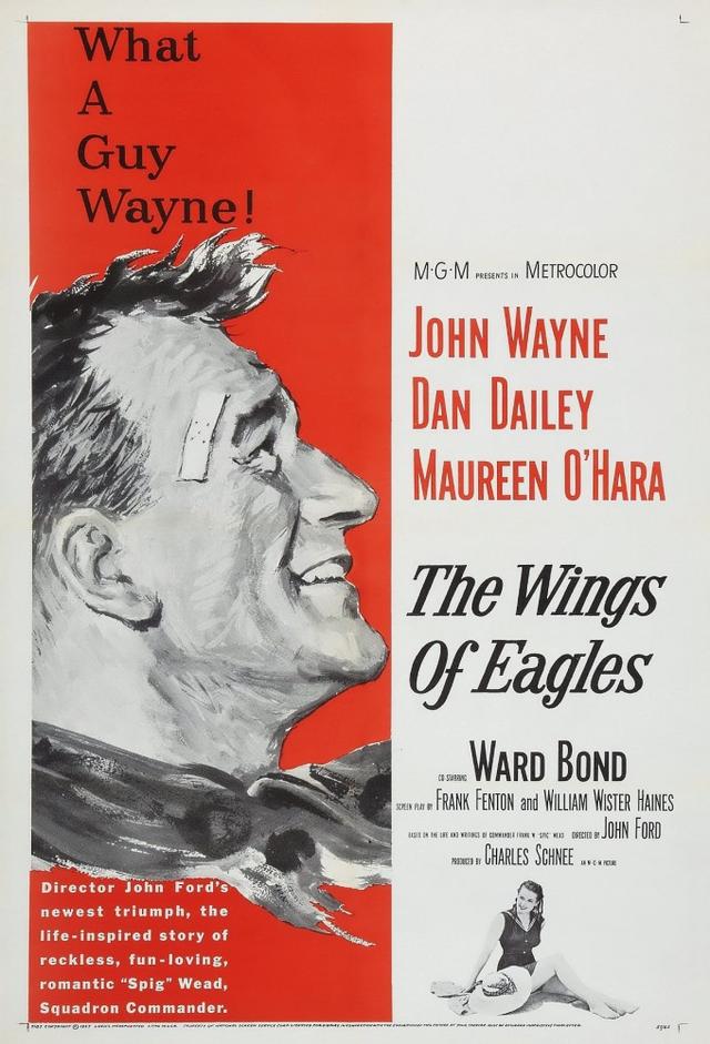 The Wings of Eagles