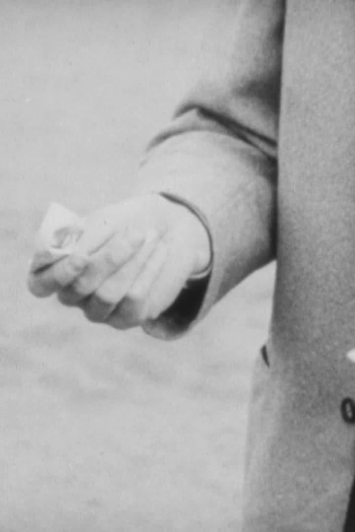 Pockpicket: Recollections of a Helsinki Bourgeois Youth