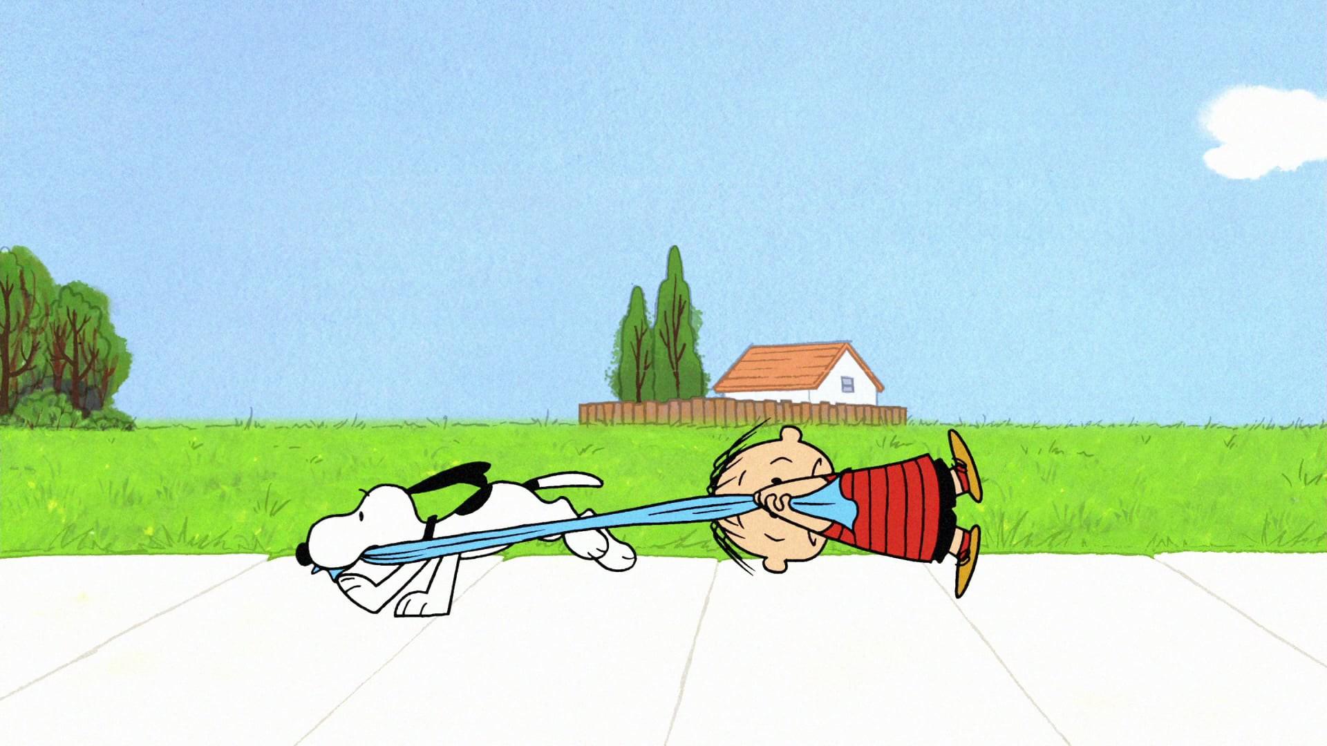 Happiness Is a Warm Blanket, Charlie Brown