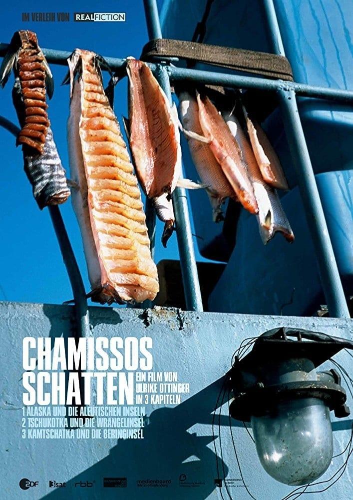 Chamisso's Shadow