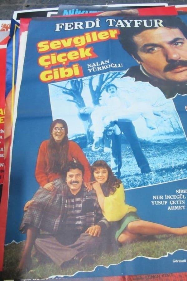 Sevgiler Çiçek Gibi