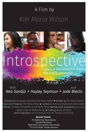 Introspective - Labels And Discrimination Within The LGBTQ Community