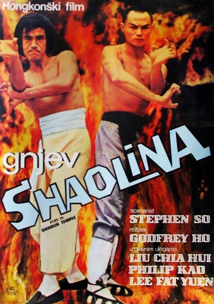 Fury in the Shaolin Temple