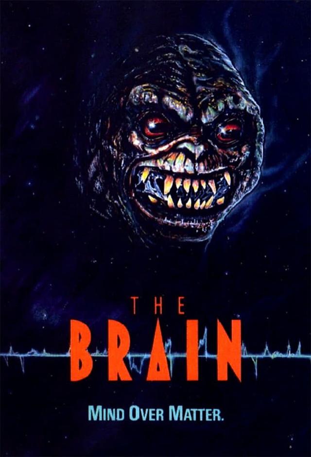 The Brain