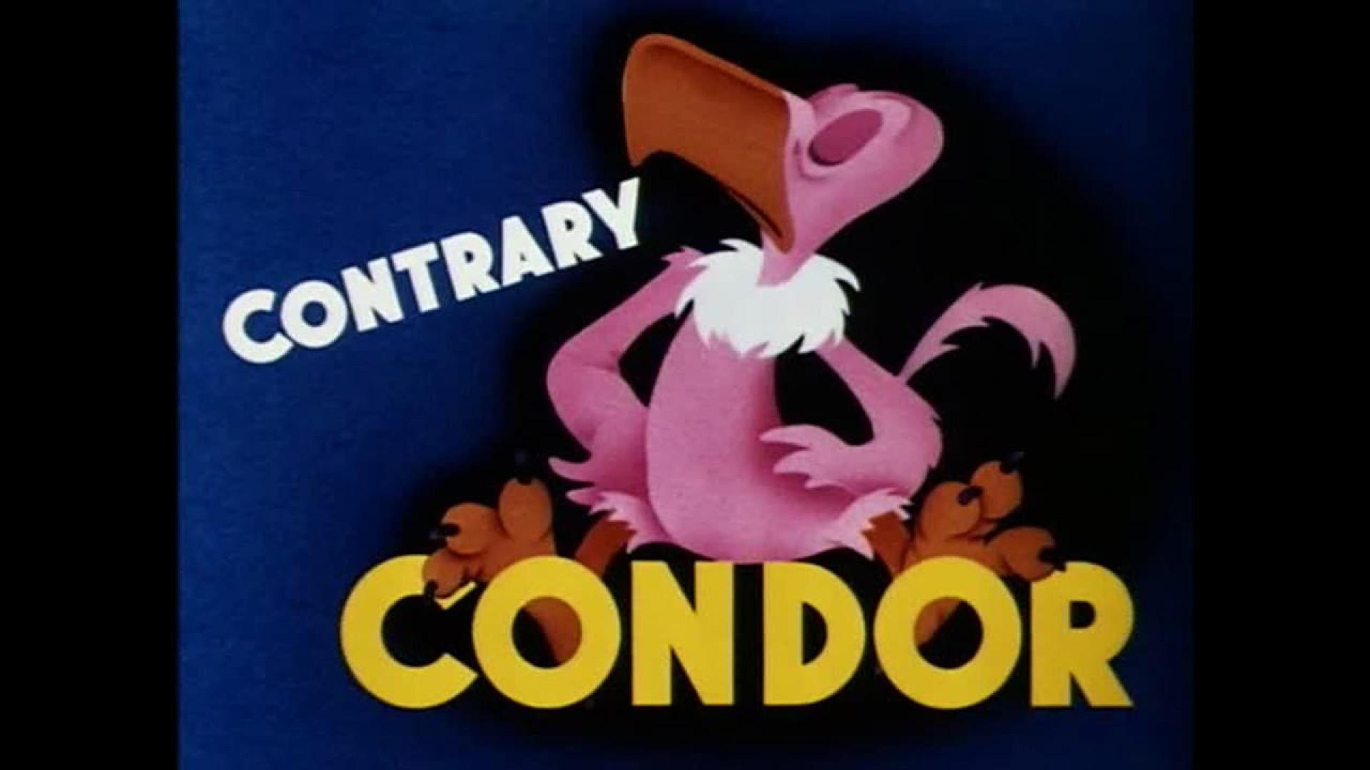 Contrary Condor