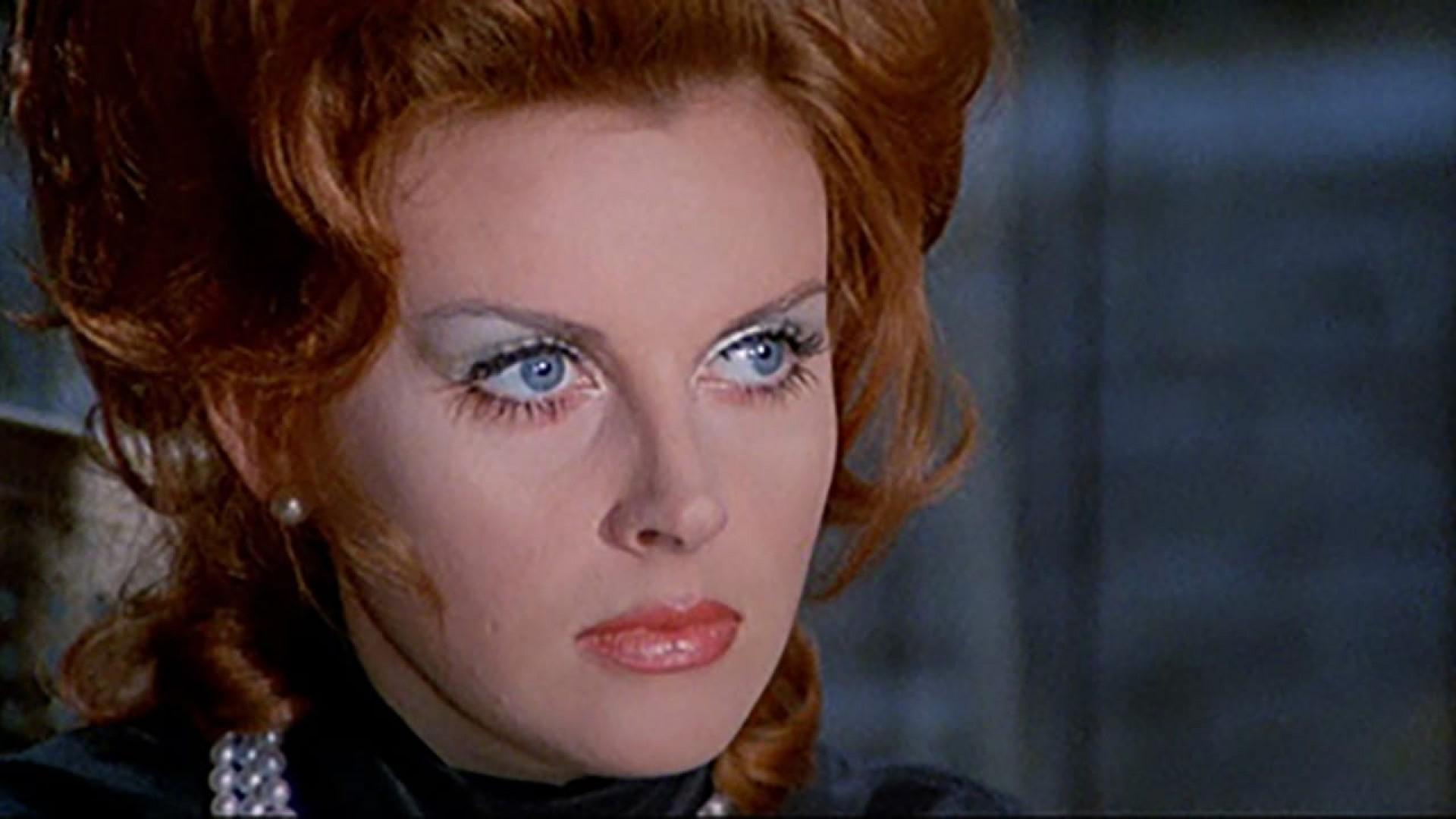 The Forbidden Photos of a Lady Above Suspicion