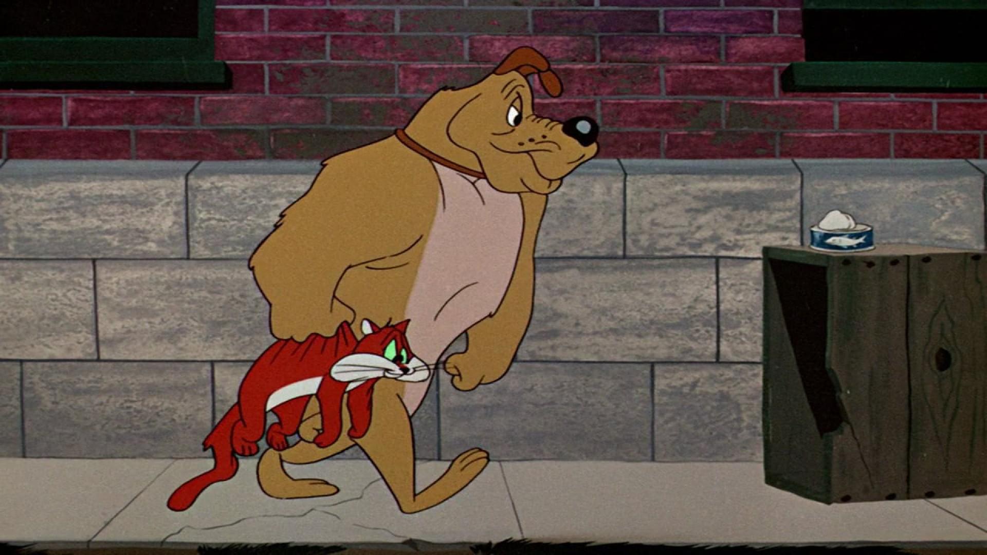 Chow Hound
