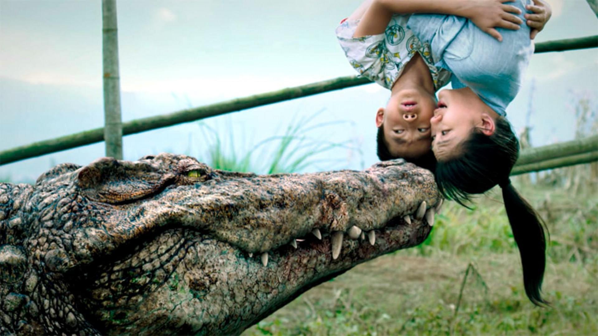 Million Dollar Crocodile