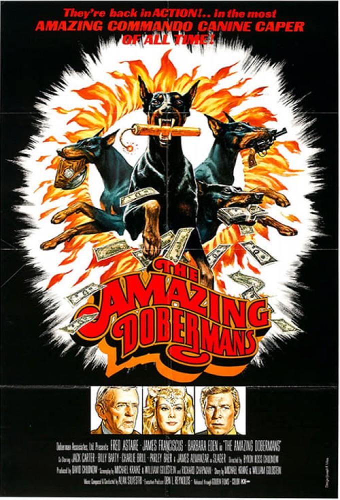 The Amazing Dobermans