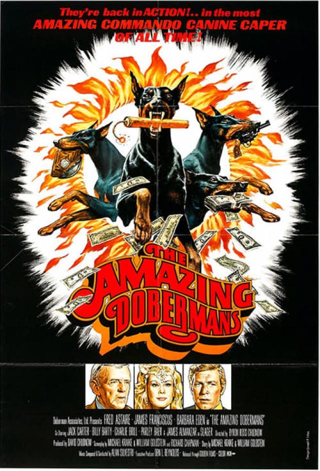 The Amazing Dobermans