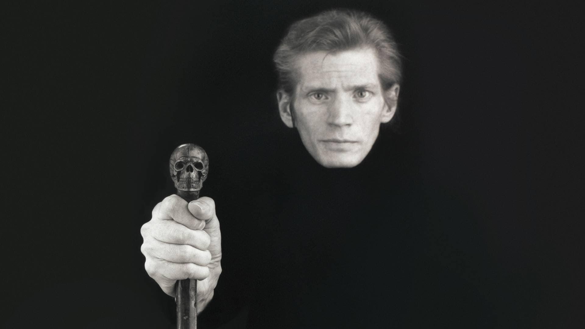 Mapplethorpe: Look at the Pictures