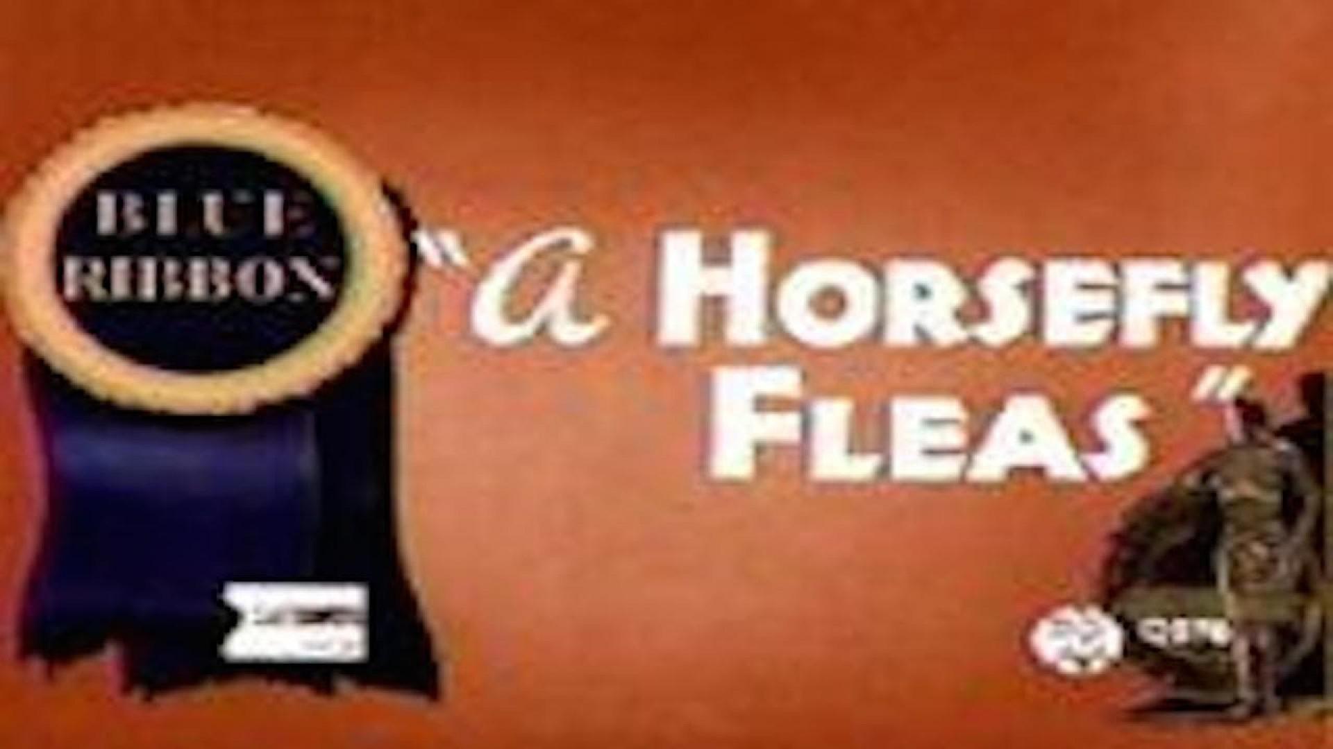 A Horsefly Fleas