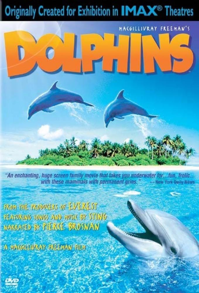 Dolphins