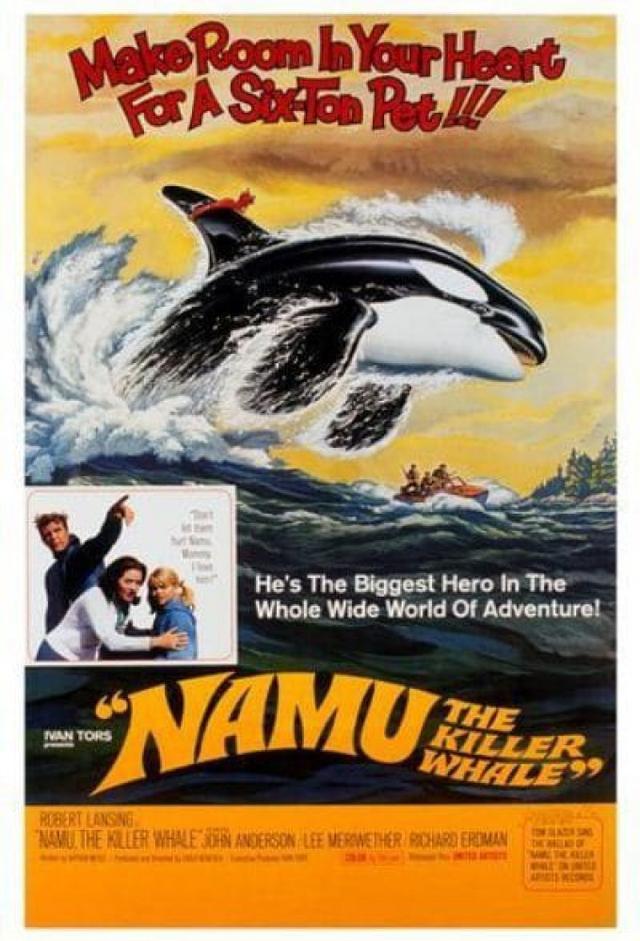Namu, the Killer Whale
