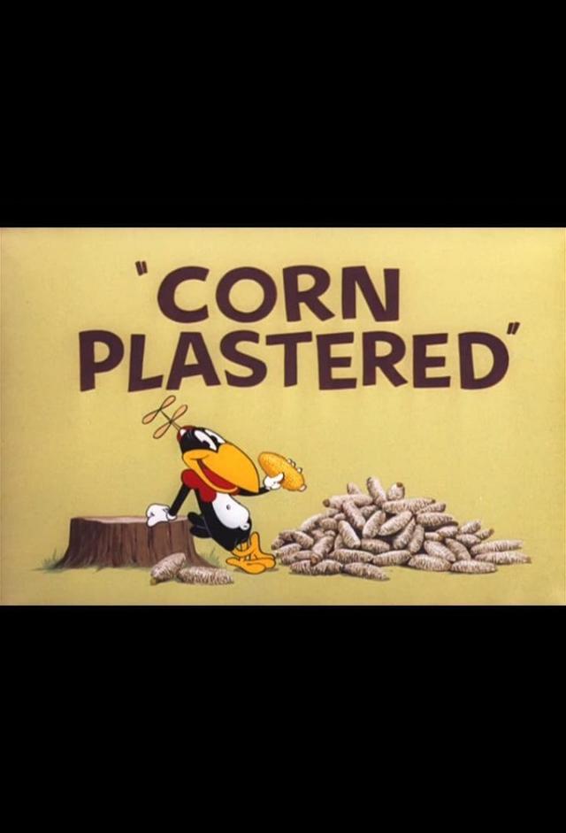 Corn Plastered